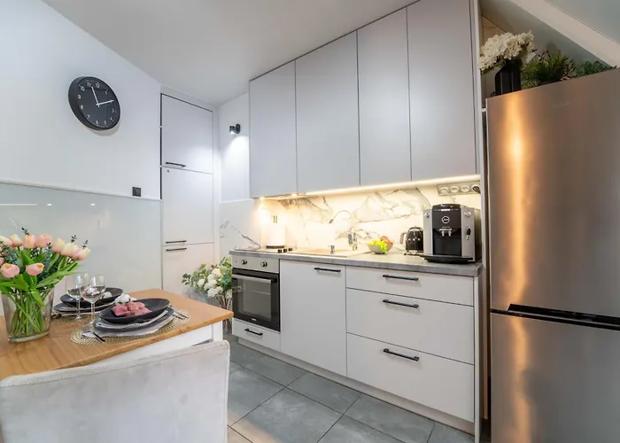 Luksusowy W Samym Centrum Miasta Appartement Wrocław